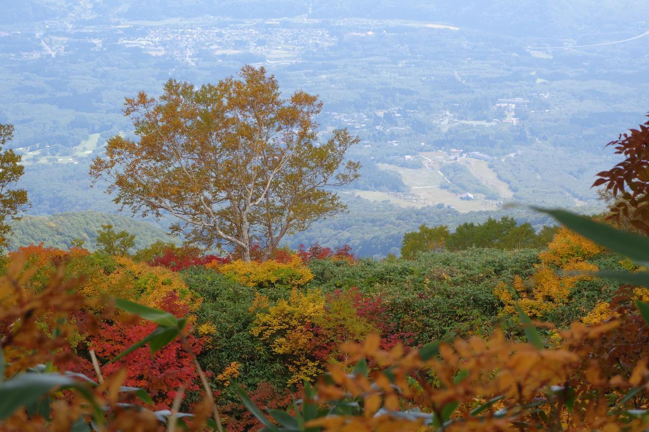 Schole Hakuba Hotel Bagian luar foto