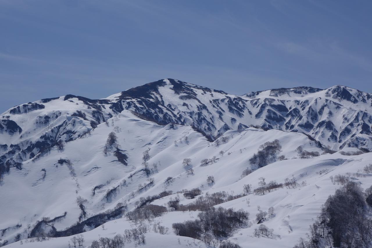 Schole Hakuba Hotel Bagian luar foto